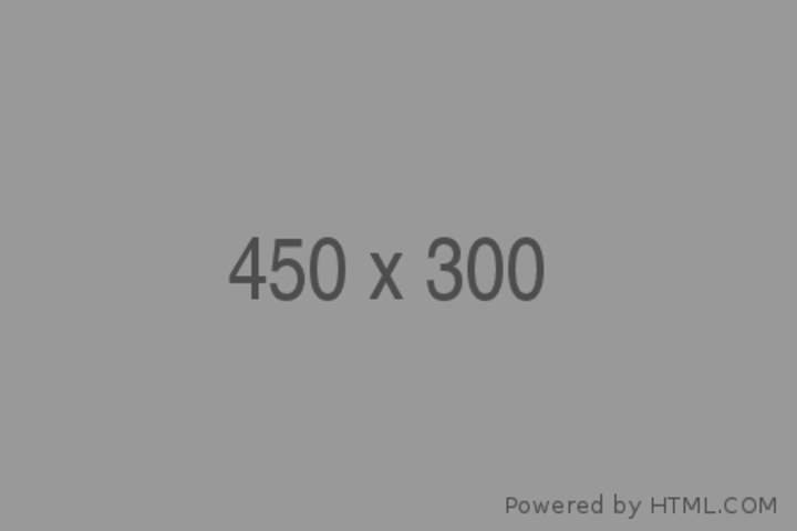 450x300