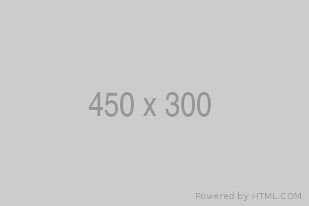 450x300